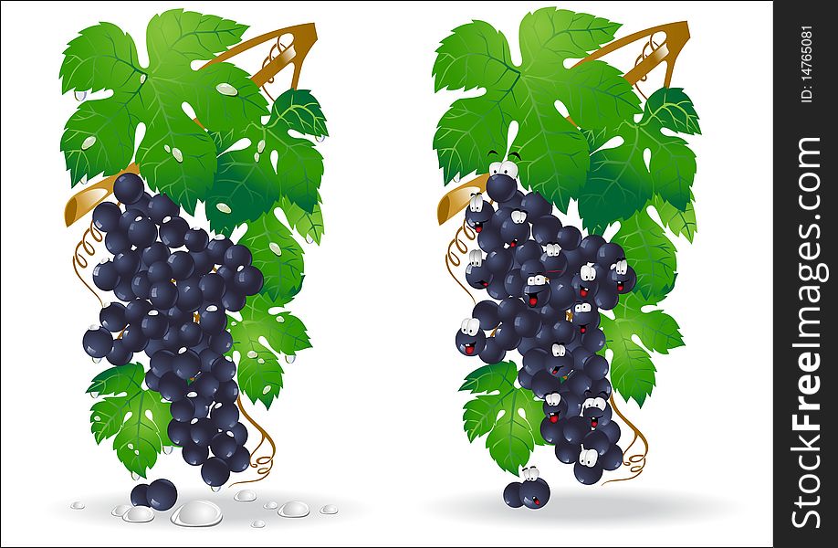 Grape Glossy Icon