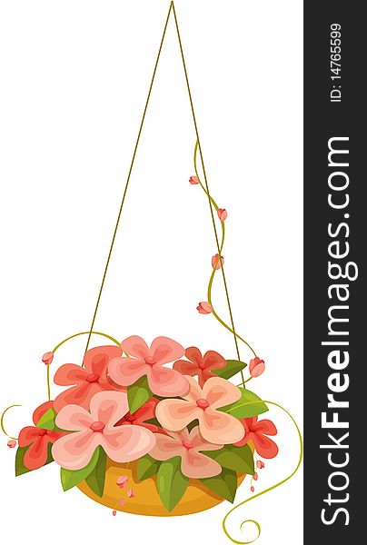 A Hanged Flower Basket