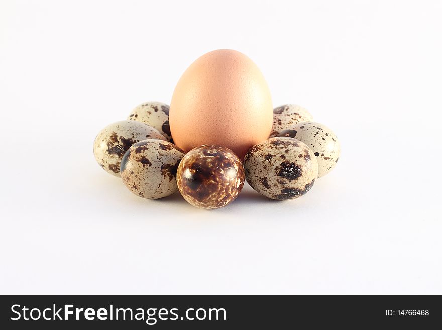 Quail and chicken eggs isolated on a white background