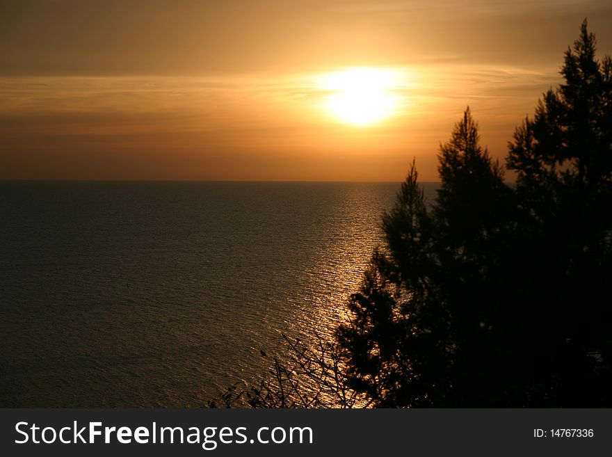 Russia. Beautiful sea decline. Silhouettes of junipers. Russia. Beautiful sea decline. Silhouettes of junipers.