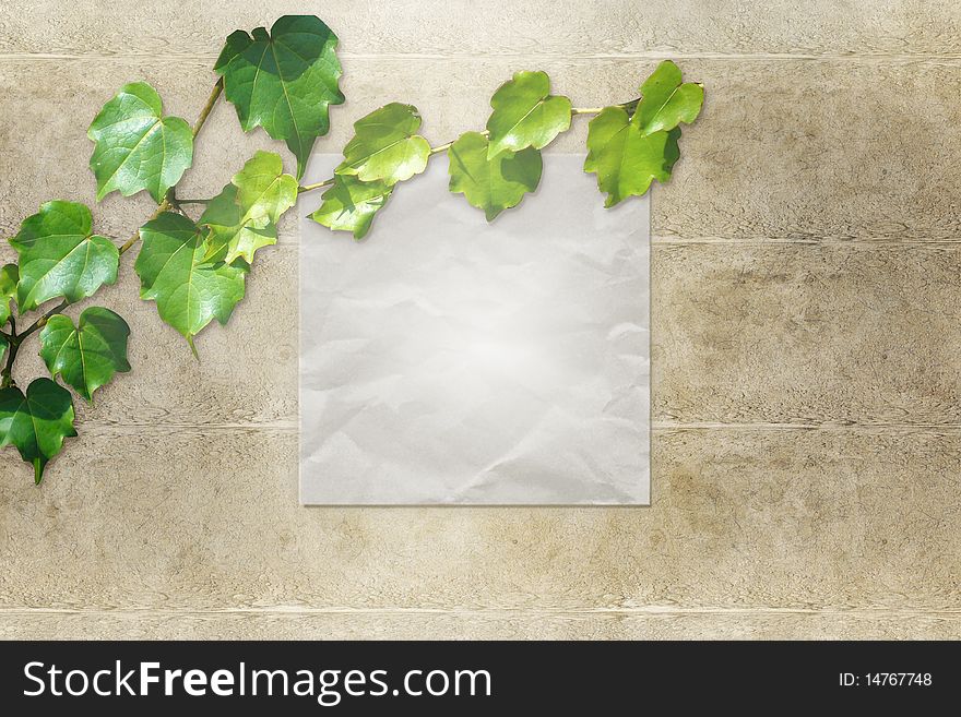 Abstract  background with green leaves