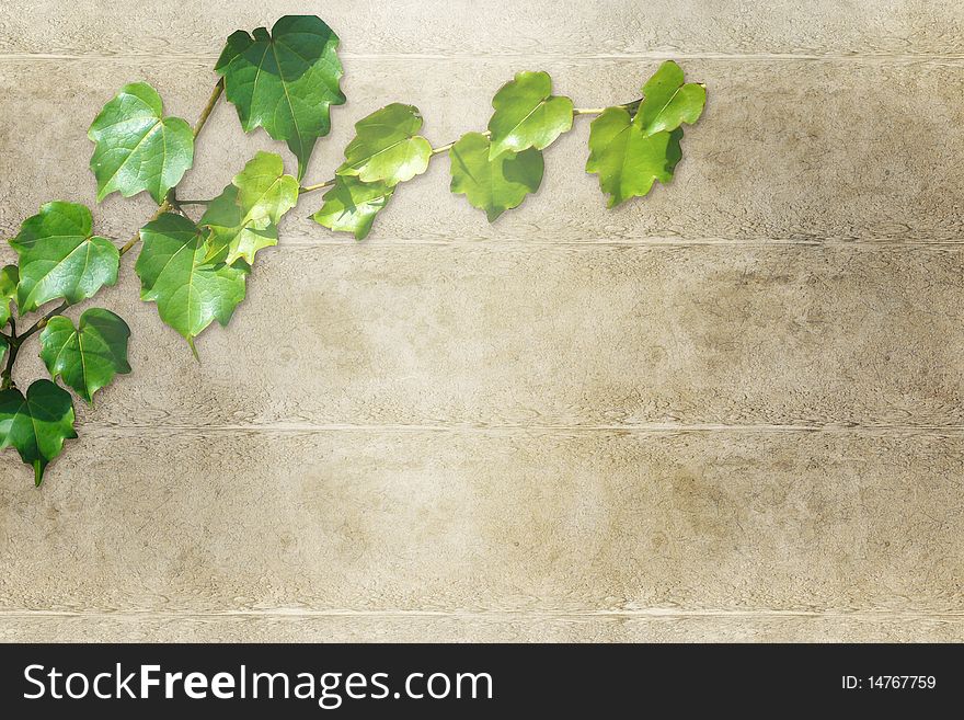 Abstract  background with green leaves