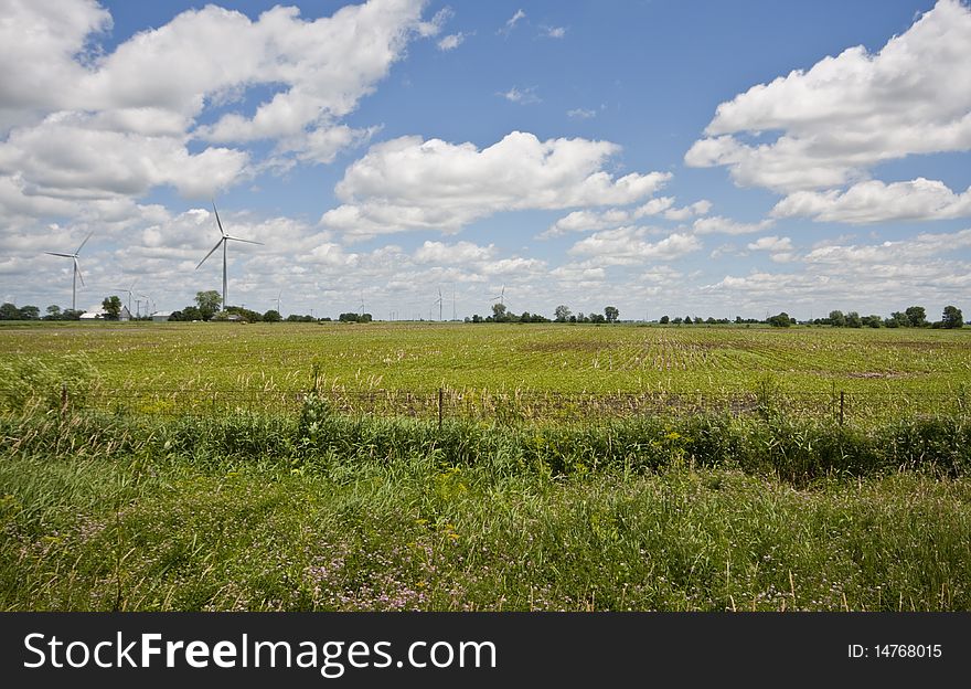 Windmills on an Indiana Farm in June