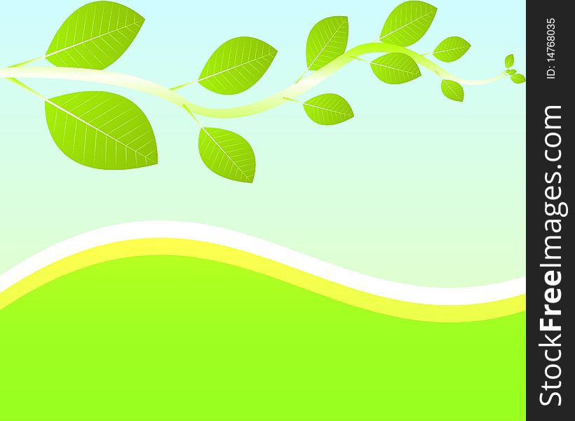 Backgound with green branch with leaves. Vector illustration. Backgound with green branch with leaves. Vector illustration