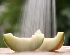 Melon Slices Royalty Free Stock Photography Melon Slices Royalty Free Stock Photography