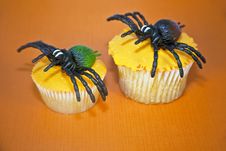 Halloween Spider Cupcake Stock Image