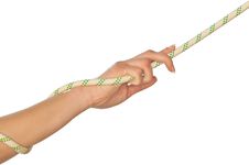 Free Hold On Royalty Free Stock Photography - 14779427