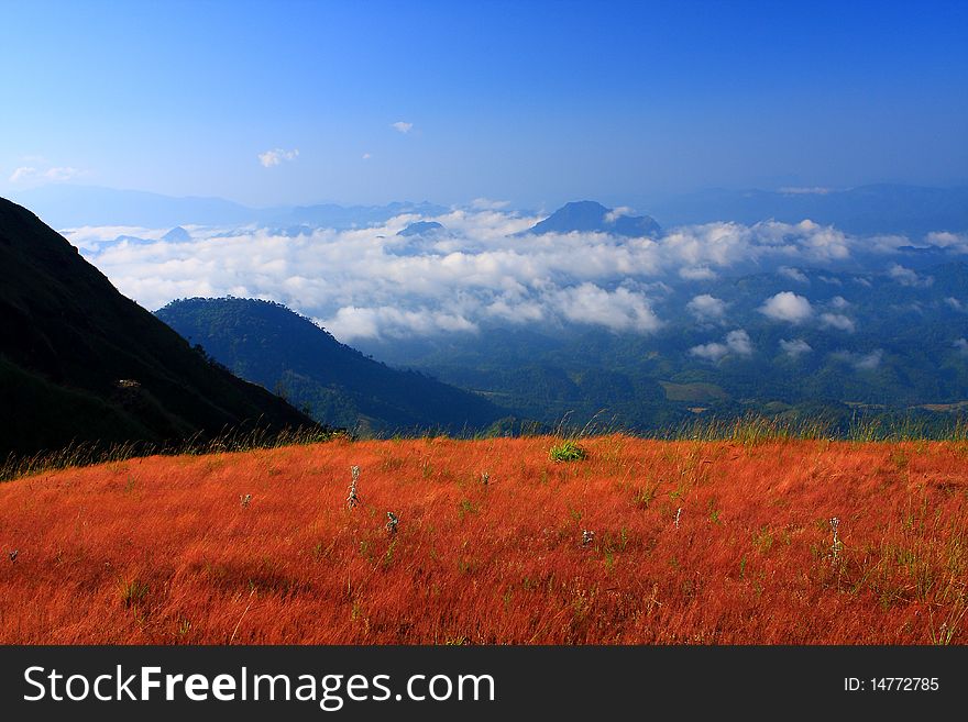 Mountain View at north of Thailand