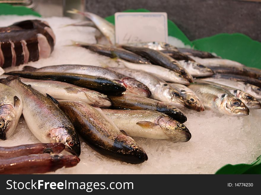 Fish at the market in Spain