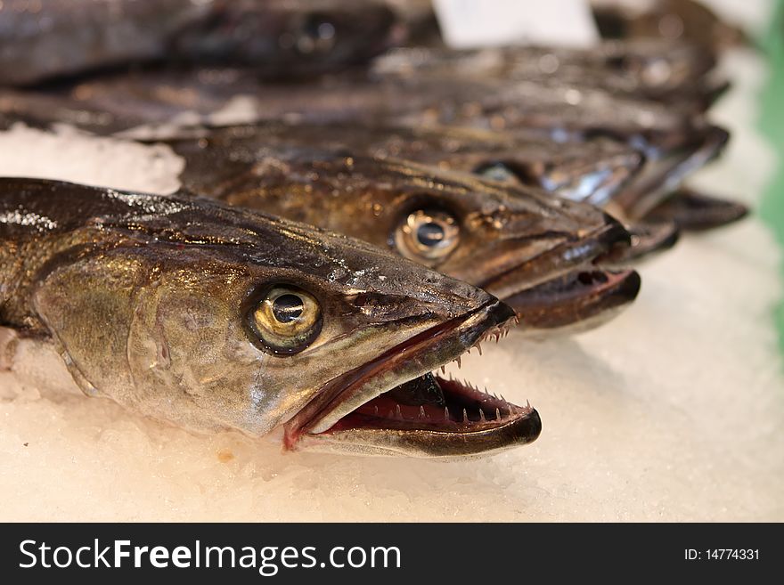 Fish in a row at the market. Fish in a row at the market