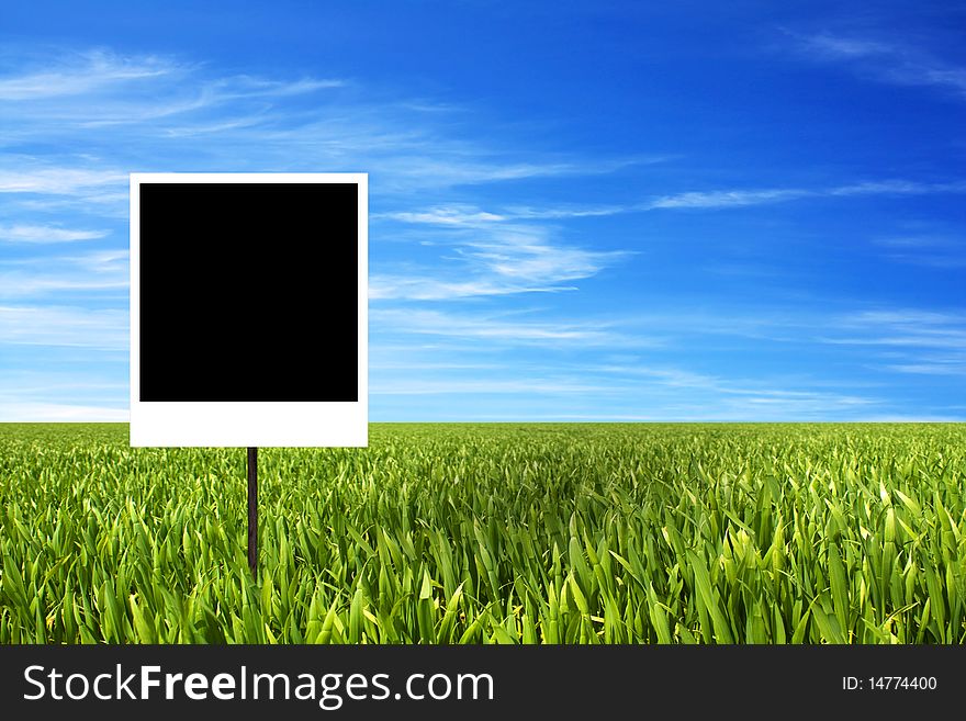 Blank polaroid photo on grass field with nice sky in back. Blank polaroid photo on grass field with nice sky in back