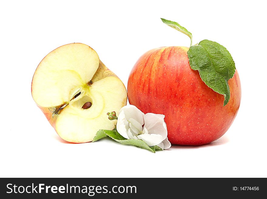 Red apple, half and flower on a white background