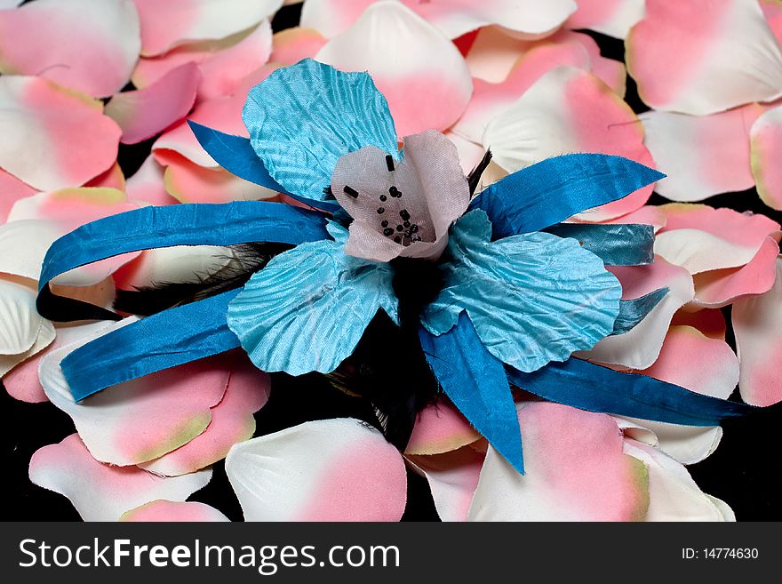 A blue artificial orchid and pink rose petals on black. A blue artificial orchid and pink rose petals on black