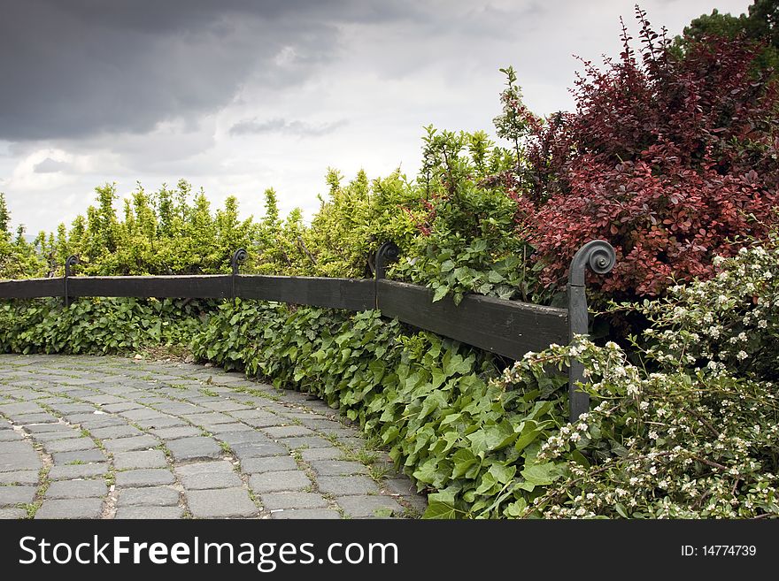 Colorful bush and wooden fence