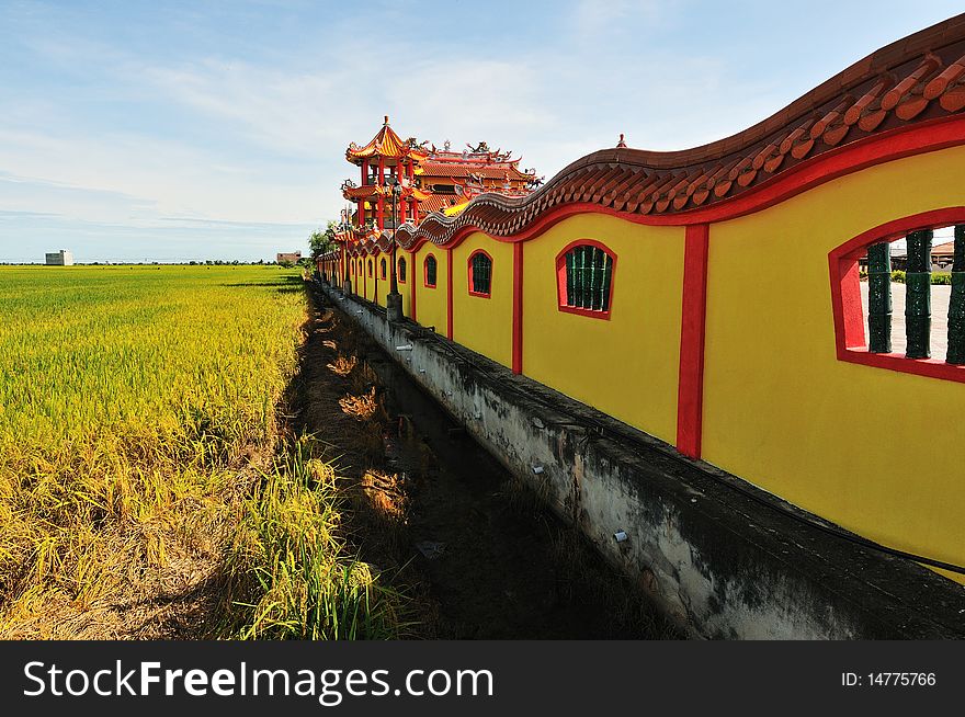 Paddy field , chinese templer with blue sky background.