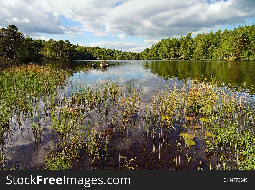 High Dam Lakeland