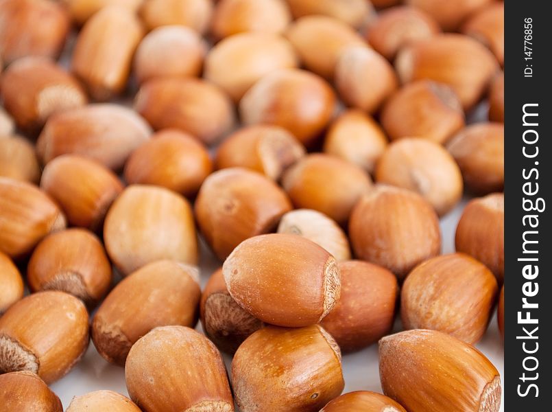 Wood Nut