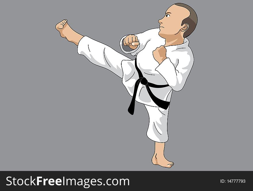 Martial art athlete doing sidekick