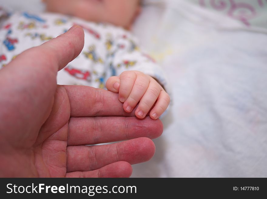 Photo hand of baby in father's  hand. Photo hand of baby in father's  hand