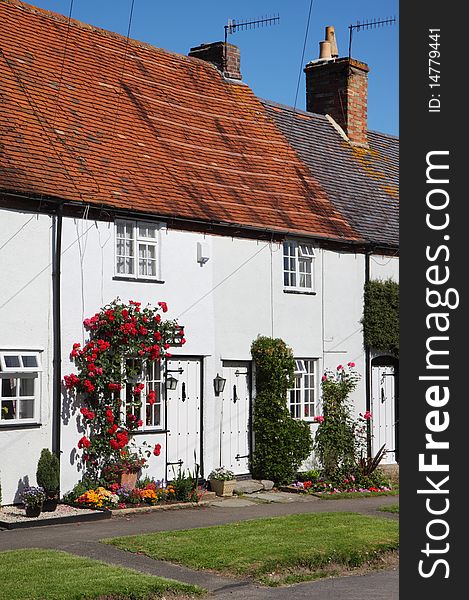 Traditional whitewashed English Village Cottage  with roses on the wall. Traditional whitewashed English Village Cottage  with roses on the wall