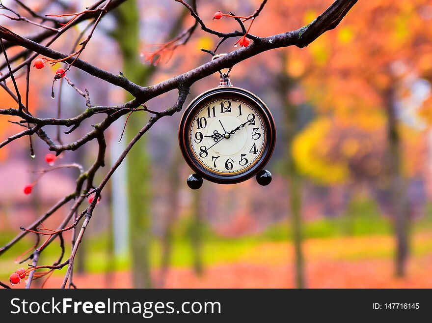 Vintage clock hanging on a tree