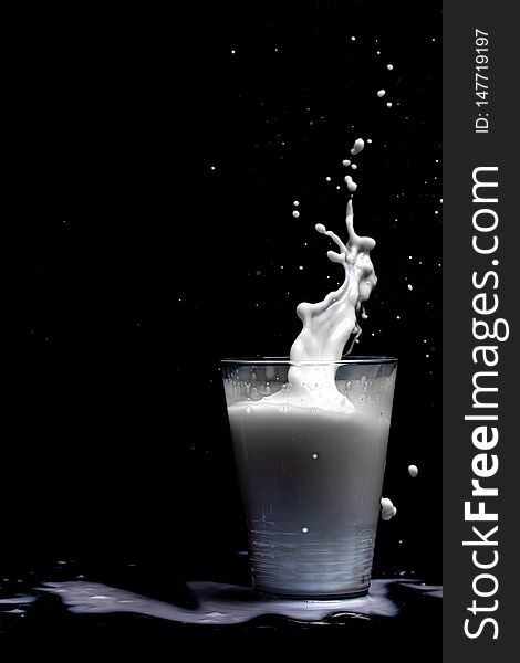 Milk glass splash isolated on black background. Closeup of splashing drops of white beverage or milkshake