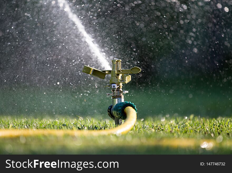 Watering lawn in garden. Splashing drops from hose and gardening sprayer. Watering lawn in garden. Splashing drops from hose and gardening sprayer