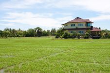 House On The Field Rice Stock Photo House On The Field Rice Stock Photo
