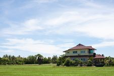 House In The Field Rice Royalty Free Stock Images House In The Field Rice Royalty Free Stock Images