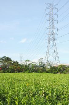 Electricity Poles In The Grass Stock Photography Electricity Poles In The Grass Stock Photography