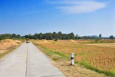 Road Across Rice Fields After Harvest Royalty Free Stock Photo Road Across Rice Fields After Harvest Royalty Free Stock Photo