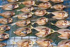 Dried Fish Royalty Free Stock Photography Dried Fish Royalty Free Stock Photography