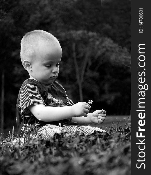 Black and white portrait of a small boy sitting on a meadow with a daisy in his hand. Black and white portrait of a small boy sitting on a meadow with a daisy in his hand