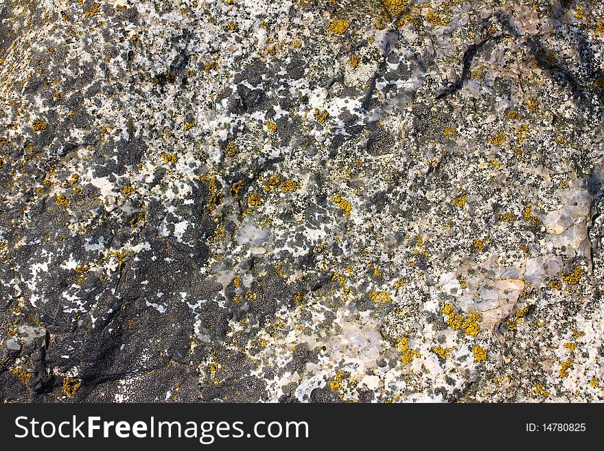 The texture of the rock surface