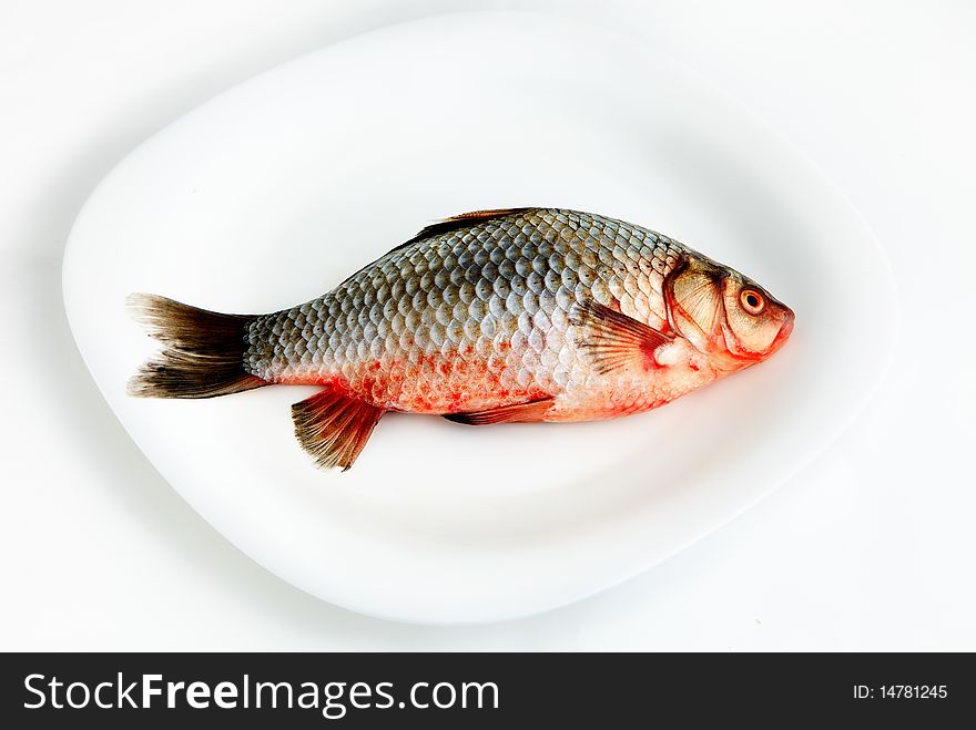 Close-up of a fish on plate. Close-up of a fish on plate