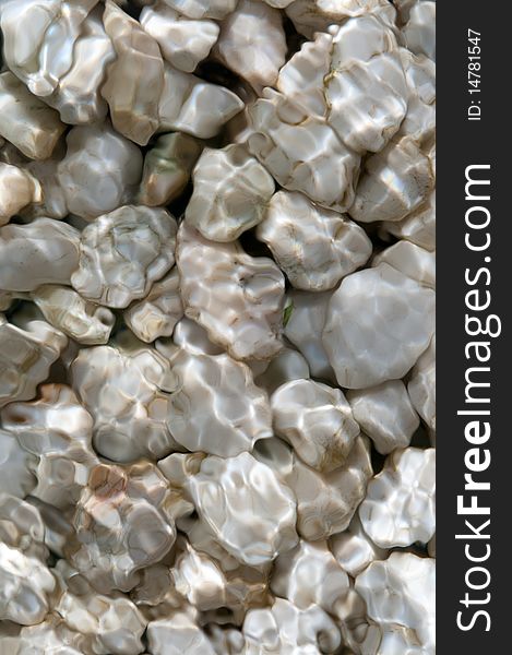 Background colour : white pebble underwater with reflection