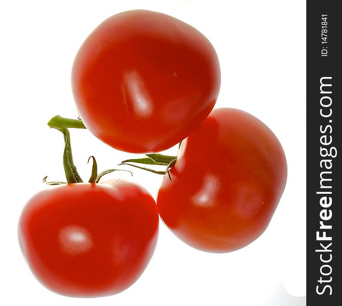 Three tomatoes on white background