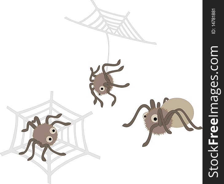 A set of different spiders. A set of different spiders