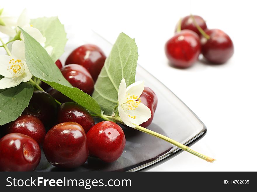 Heap of sweet cherries with white flowers