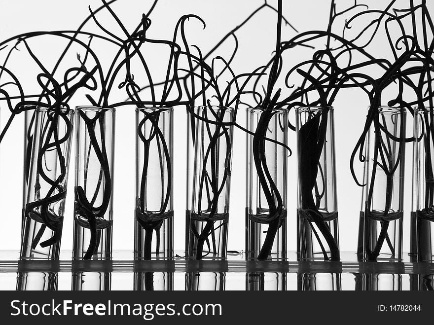 Silhouette of test tubes with small plants, converted to B/W