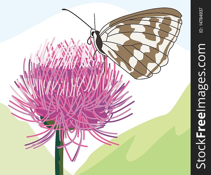 Illustration of the pink flower with butterfly. Illustration of the pink flower with butterfly