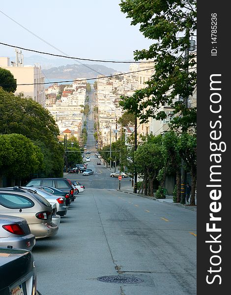 View of streets with plants in San Francisco. View of streets with plants in San Francisco