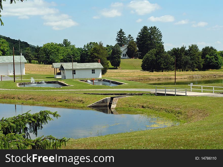 Fish Hatchery