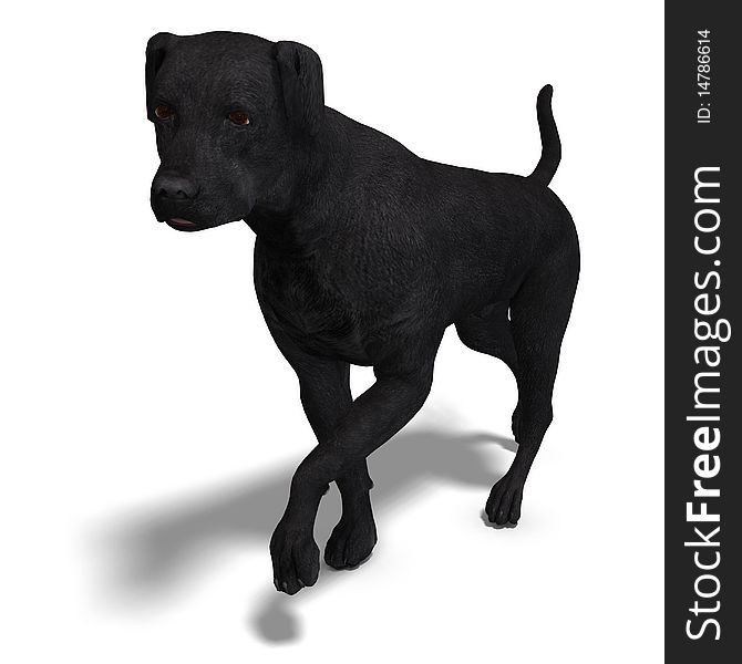 Labrador Retriever Dog. 3D rendering with clipping path and shadow over white