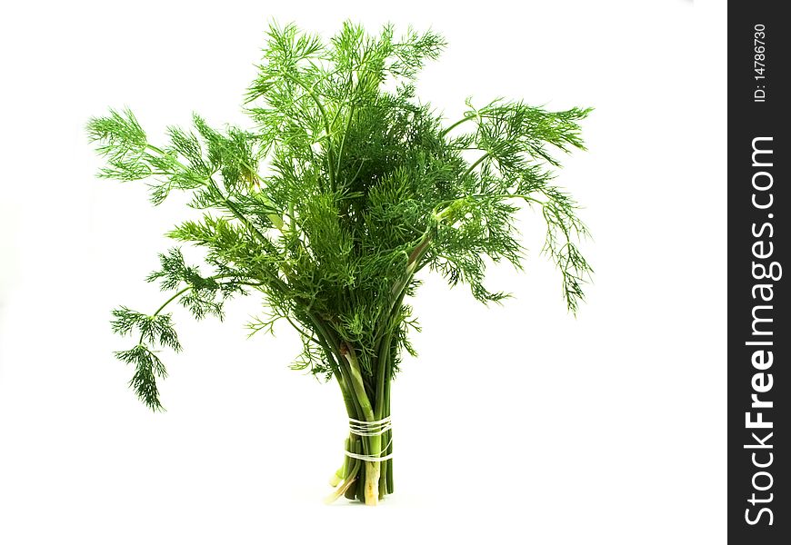 Bounded thread green bunch dill on white background. Bounded thread green bunch dill on white background