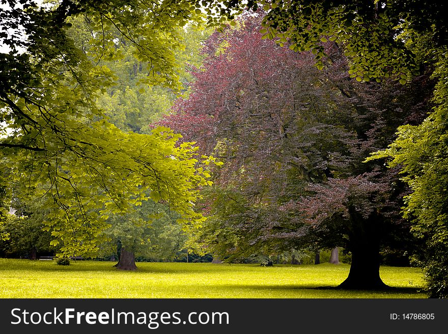 Awesome park in spring time. Awesome park in spring time