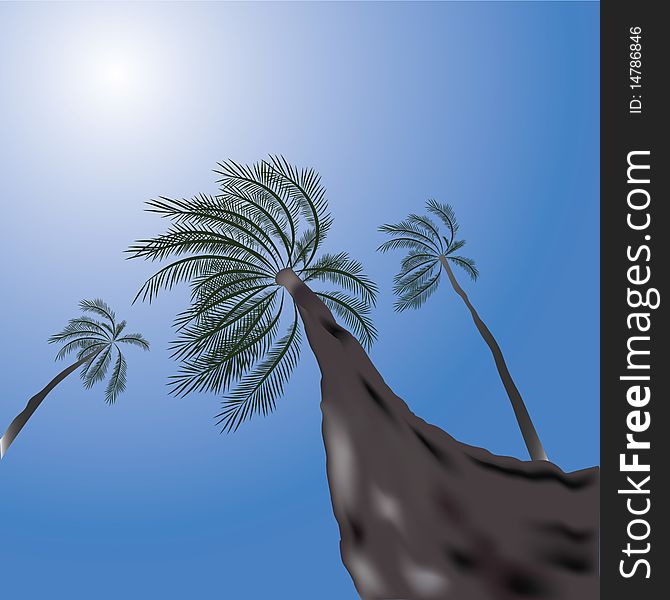 Tropical scene with palms,  illustration