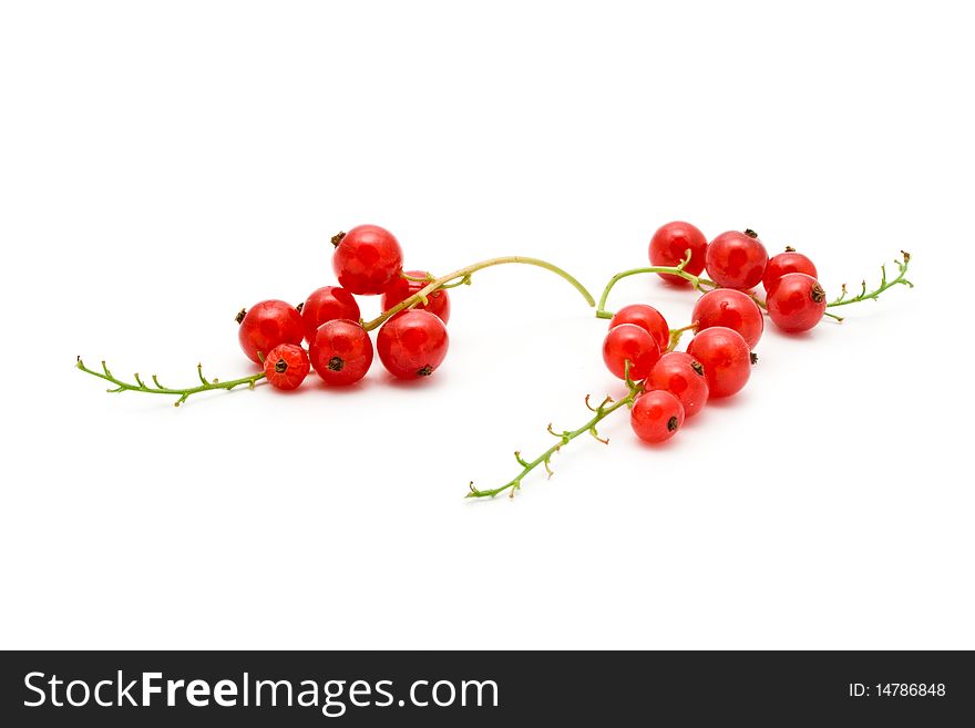 Red juicy currant on a white background