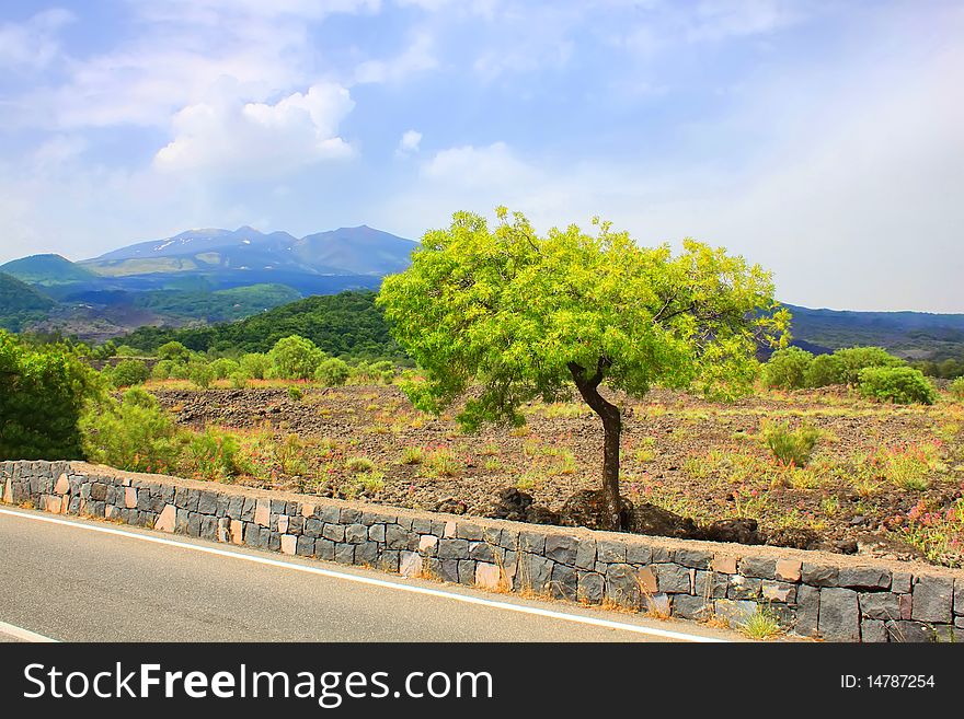 Photo of landscape with tree, meadow and mountains in background