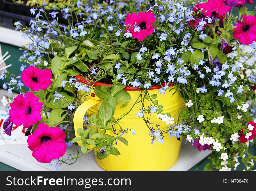 Entry decoration of spring flowers in a water can. Entry decoration of spring flowers in a water can